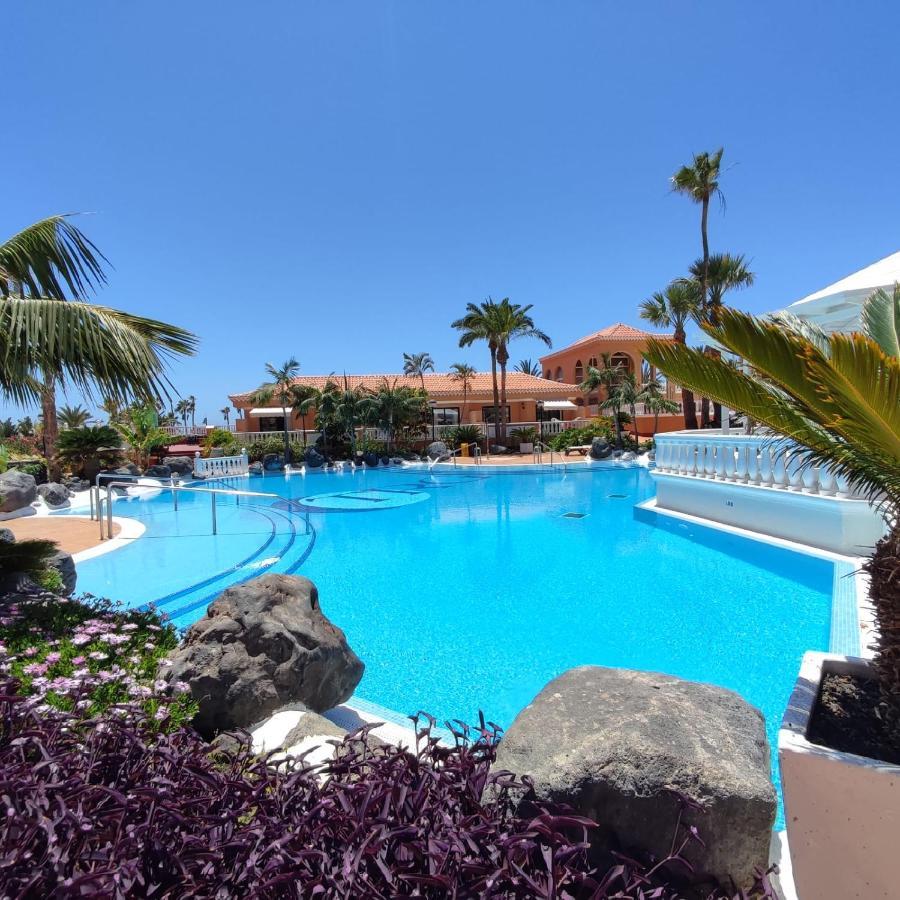 Amazing View In Tenerife Royal Garden Playa de las Americas (Tenerife)